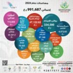 مساعدات عام 2024